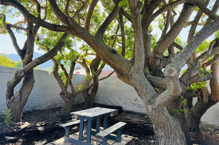 3 Bedroom Property for Sale in Sandbaai Western Cape